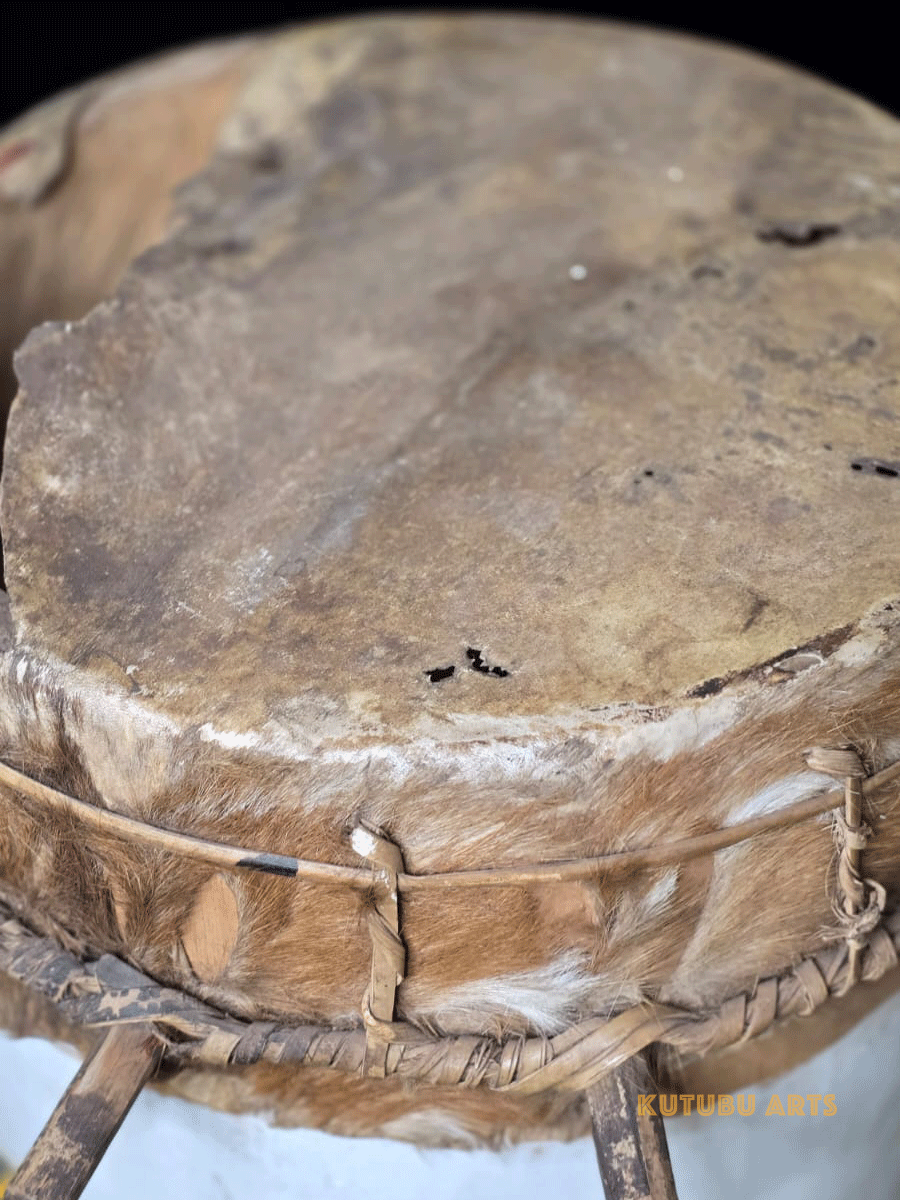 Fon fertility drum head animal hide from Benin, West Africa, African tribal art, Kutubu Arts