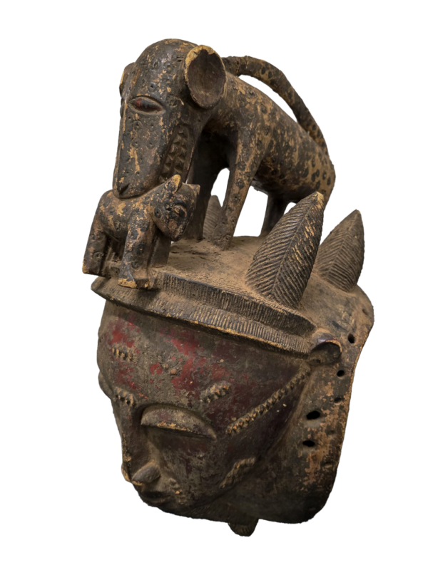 Ceremonial Leopard secret society mask with cub in mouth from Baule tribe, Ivory Coast, West Africa, African tribal art, Kutubu Arts