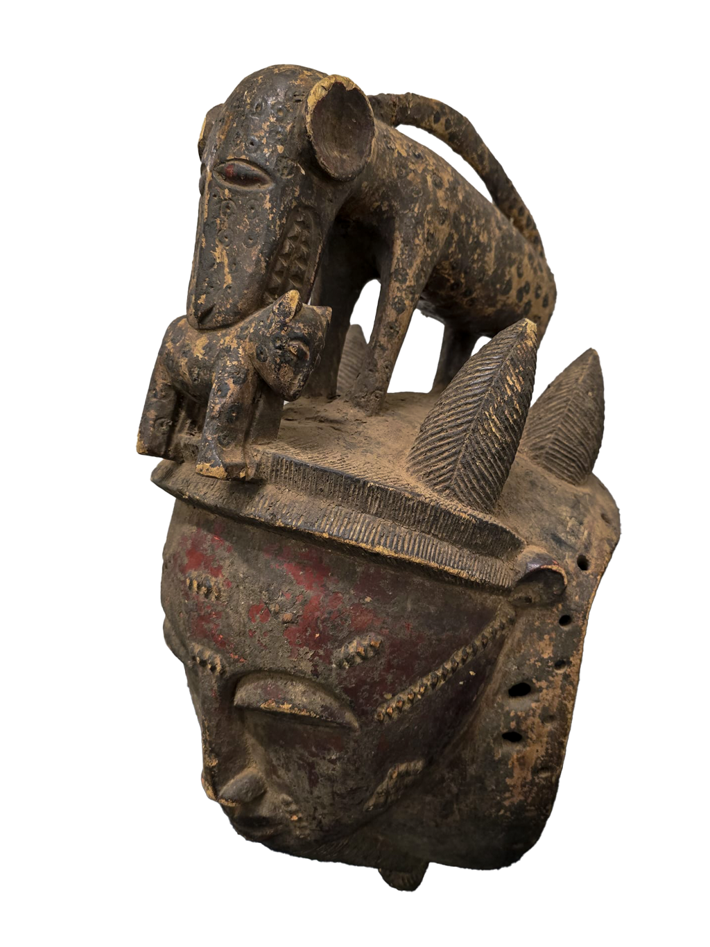 Ceremonial Leopard secret society mask with cub in mouth from Baule tribe, Ivory Coast, West Africa, African tribal art, Kutubu Arts