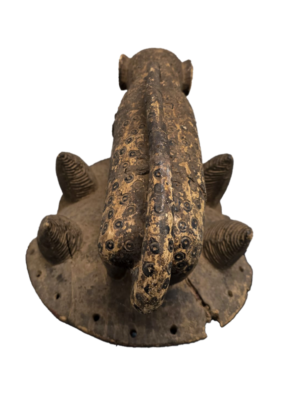 Ceremonial Leopard secret society mask with cub in mouth from Baule tribe, Ivory Coast, West Africa, African tribal art, Kutubu Arts